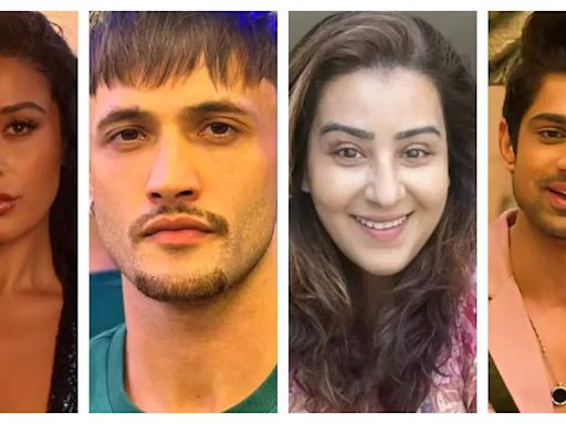 ...Confirmed Contestants List: From Tiger Shroff's sister Krishna to Bigg Boss fame Asim Riaz, Shilpa Shinde, Abhishek Kumar: List...