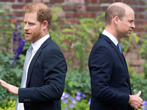 Prince William, Prince Harry's royal cousins hold key to rescue monarchy from warring brothers: experts