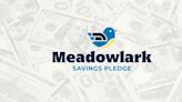 Nebraska babies born in 2023 to be given Meadowlark Savings Pledge funds