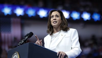 Kamala Harris gets "good news" from Republican strategist amid polling slip