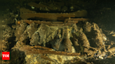 19th-century Baltic shipwreck loaded with champagne uncovered by Polish divers - Times of India