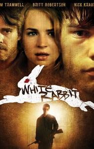 White Rabbit (2013 film)