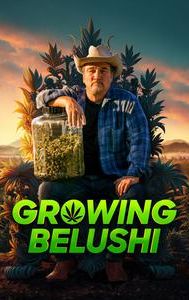 Growing Belushi