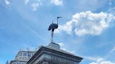 The ‘monstrosity of art’ fountain in DC for teetotalers: Local hidden gem