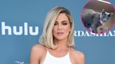 Khloe Kardashian Jokes Her Pet Cat Grey Kitty Is the ‘Star of the Show’ During Organized Pantry Tour