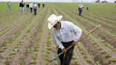 Laws don't protect outdoor workers from heat. Advocates say the consequences are deadly