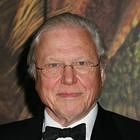 David Attenborough