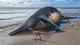 Paleontologists discover fossils of what may be largest-ever marine reptile