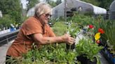 Gardeners see warmer hardiness zones for plants, but not by much