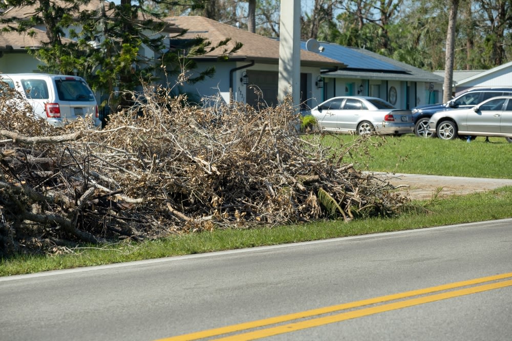 Hurricane Beryl debris pickup begins in Sugar Land, Fort Bend County