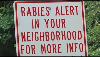 Rabid fox bites person in Lilburn neighborhood