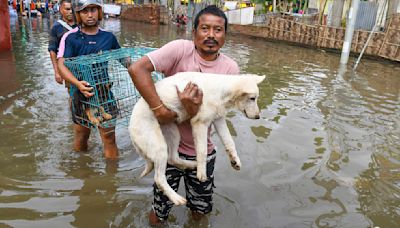 Assam flood situation still critical, Bihar rivers close to danger mark after torrential rain