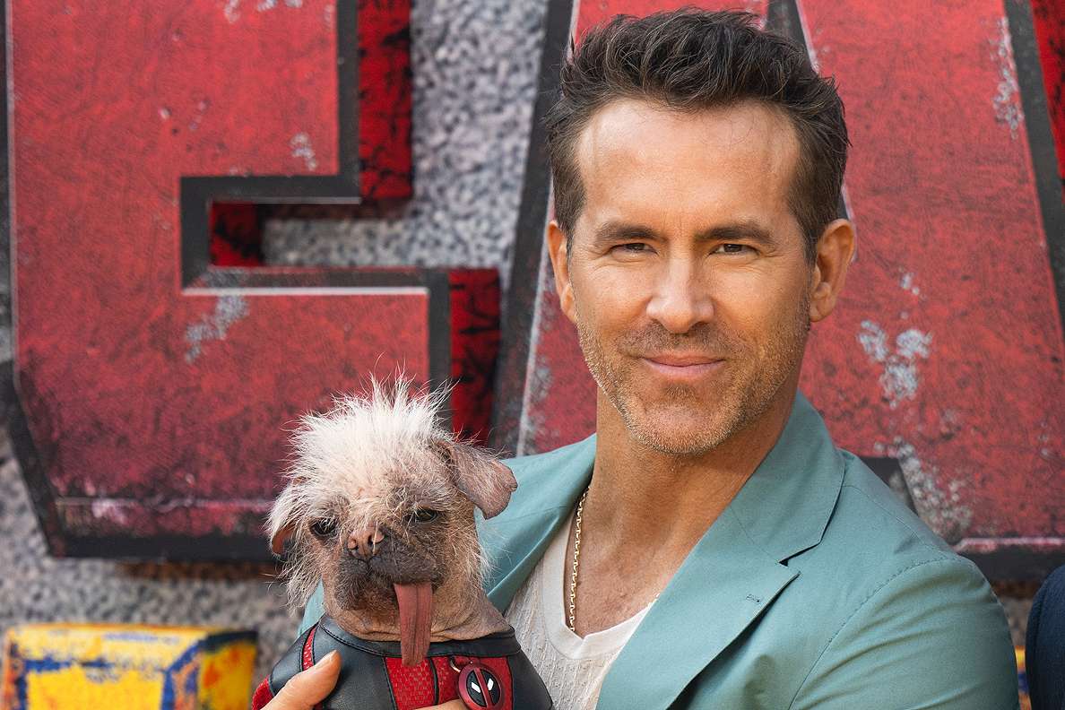 Ryan Reynolds Jokes Dogpool Was the Intimacy Coordinator for Deadpool & Wolverine: 'Complete Disaster'