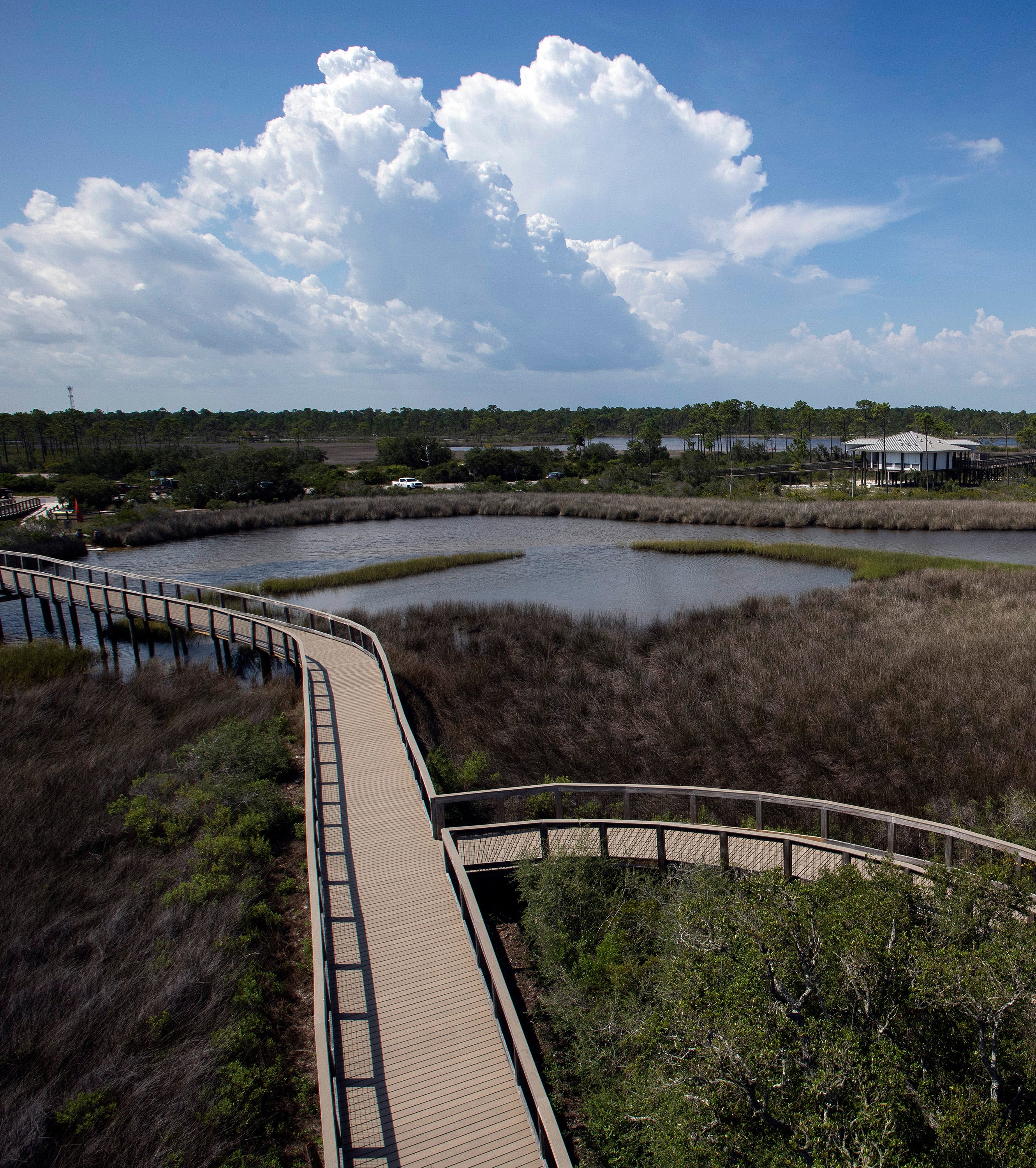 Wondering where you can go camping in Pensacola? Here are four spots to try