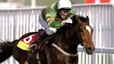 Hurdling great Istabraq, the triple Champion Hurdle winner, dies aged 32