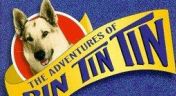 1. Rin Tin Tin and the Bugle Call