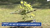 "Liberty Tree" Planted in Erie Ahead of 250th Anniversary of United States - Erie News Now