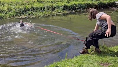 Hilarious Video Shows Dog Owner Being Accidentally Pulled Into A River