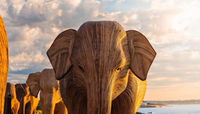 Great Elephant Migration Across America Begins In Newport, RI