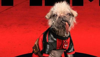 Who is Dogpool? How Deadpool & Wolverine's Peggy went from being 'Britain's ugliest dog' to online sensation