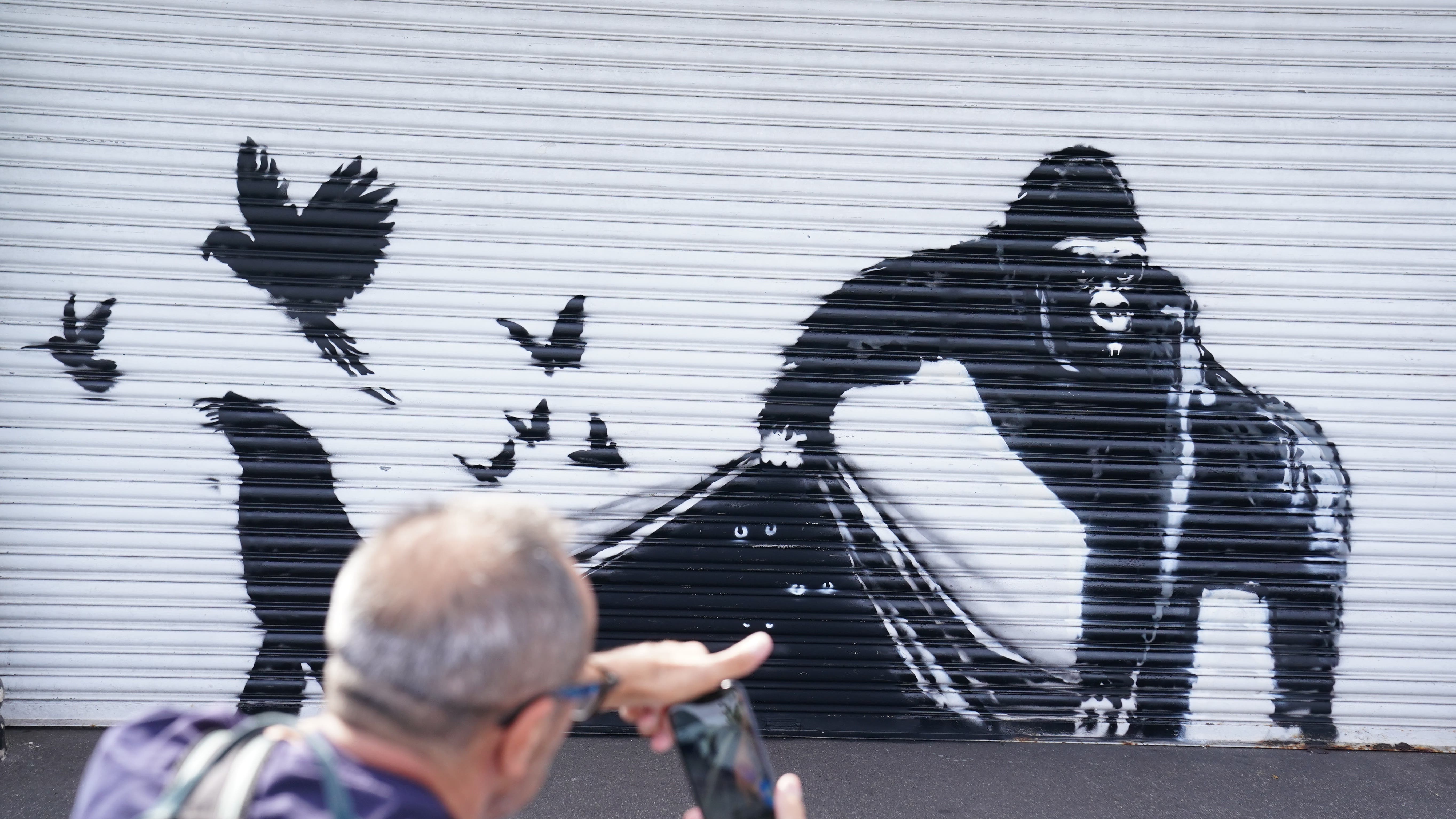 Banksy unveils ninth artwork at London Zoo