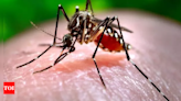 Pakistan: Dengue outbreak claims 14 lives in Turbat, over 5000 cases reported in Kech district - Times of India