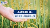 小滿節氣2024：小滿意思是什麼？養生飲食、習俗禁忌一次看│TVBS新聞網