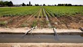 Idaho ranchers, Legislature seek to intervene in state-federal water rights fight