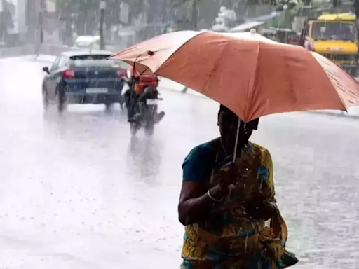 Karnataka's Agriculture Struggles Despite Excess Monsoon Rainfall in 2024 | Bengaluru News - Times of India