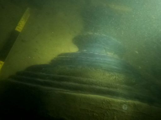 Diver finds bronze cannon on wreck of 17th century warship in Thames Estuary