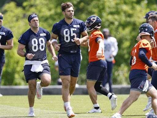 Why Key Chicago Bears Are Regarded as Fantasy Football Duds