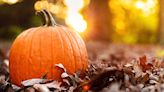 Parks & Rec News: Fall Festival on Oct. 8 to feature beer garden, live music, games