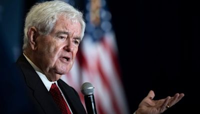 Gingrich: ‘It would be totally stupid’ to move forward with motion to oust Johnson