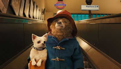 Netflix movie of the day: Paddington is a charming animation with 97% on Rotten Tomatoes