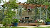 Pergola roof ideas: Design, planting and styling tips