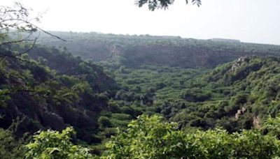 Auction of protected Aravalli forest in Haryana: NGT issues notice to authorities