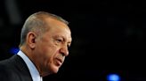 Turkey's Erdogan is in good health, minister says