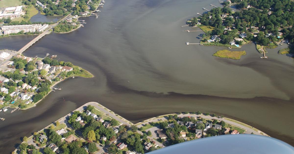 Chesapeake Bay cleanup far from 2025 goals, despite some progress