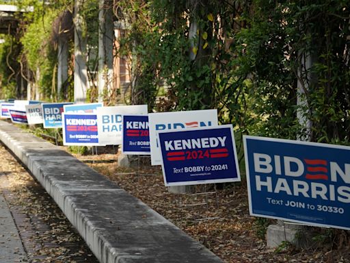 RFK Jr. to Democrats: What took you so long?