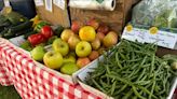 Holyoke Farmers Market kicks off 45th season - The Reminder