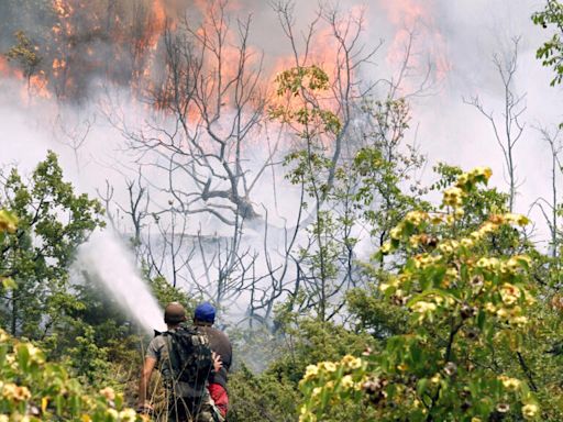 Heatwaves strain power grids in southern and eastern Europe, fuel wildfires