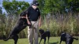 TEXSAR K-9 unit an integral part of statewide searches