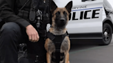 Meet Officer Zeke: Irvine Police Department's new, handsome K-9