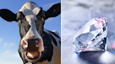 The iPod inventor is now turning cow burps into diamonds – literally