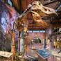 witte Museum