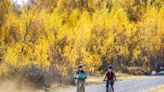 Marvel at autumn foliage in New Zealand