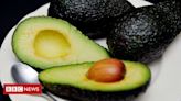 Abacate: faz mal para o meio ambiente comer a fruta?