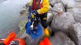 Dog and owner rescued by lifeboat after getting stranded on rocks