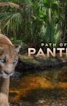 Path of the Panther