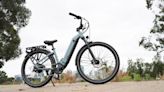 The best e-bikes for every type of rider and where Chinese EV makers are headed
